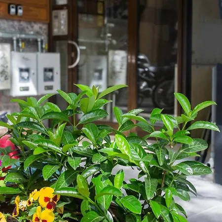 Suggrou Apartment *